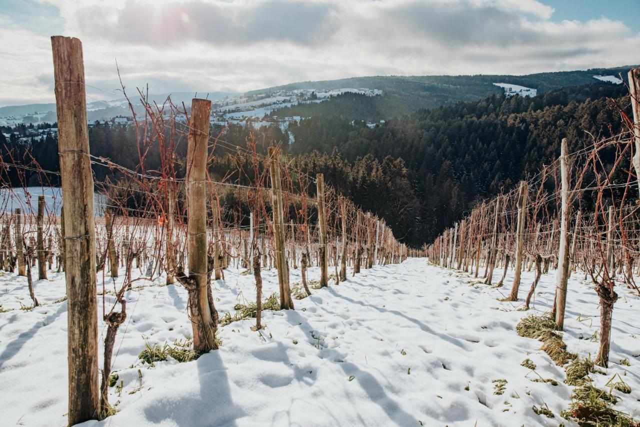 Sankt Stefan ob Stainz Weinstoeckl Hochgrail Pures Seinヴィラ エクステリア 写真