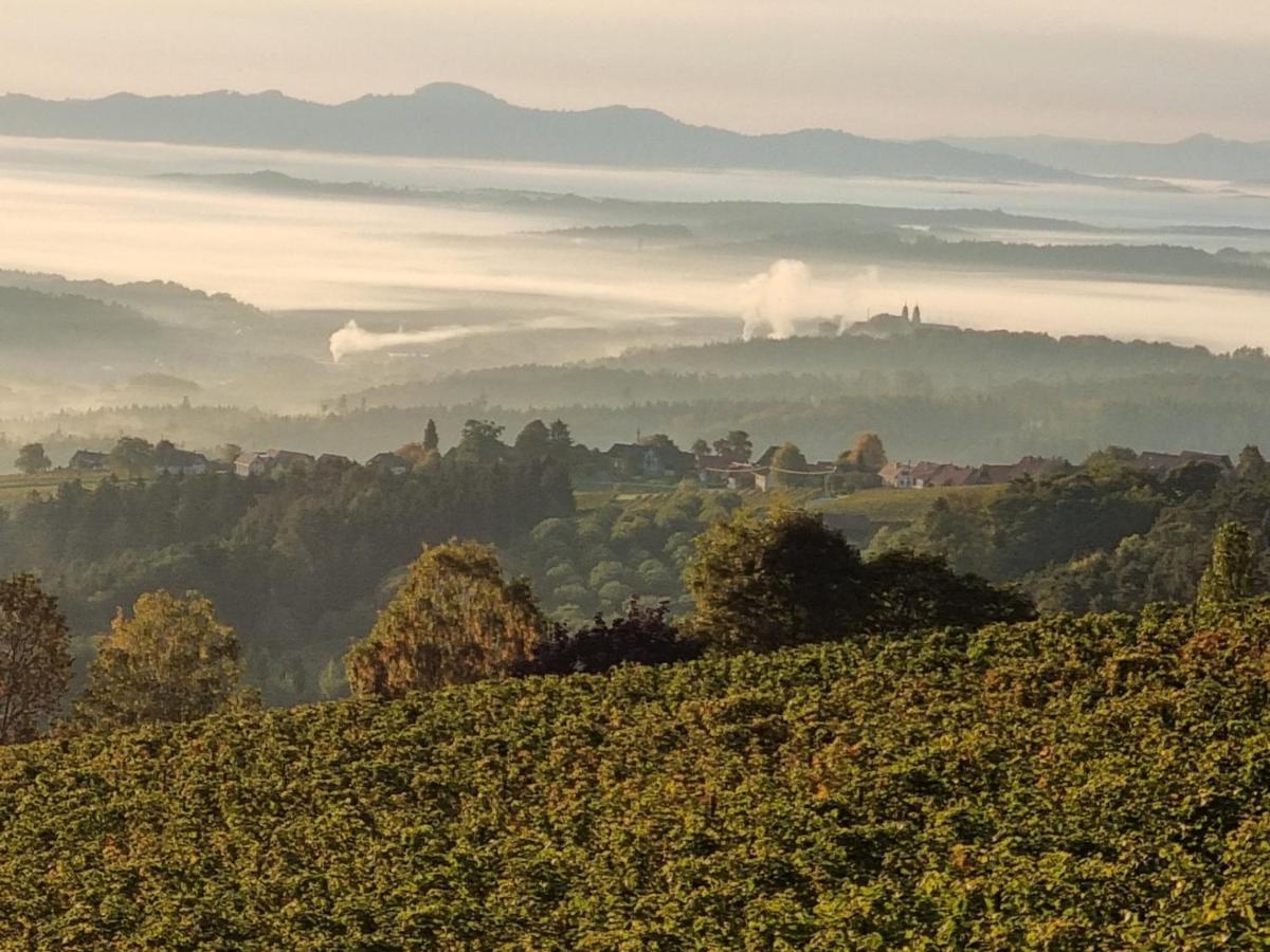 Sankt Stefan ob Stainz Weinstoeckl Hochgrail Pures Seinヴィラ エクステリア 写真