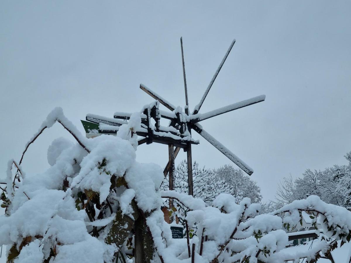 Sankt Stefan ob Stainz Weinstoeckl Hochgrail Pures Seinヴィラ エクステリア 写真