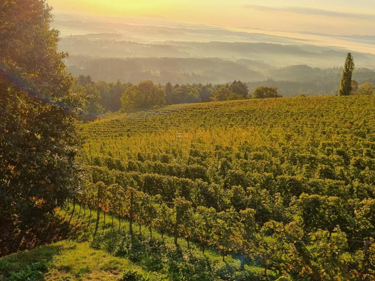 Sankt Stefan ob Stainz Weinstoeckl Hochgrail Pures Seinヴィラ エクステリア 写真